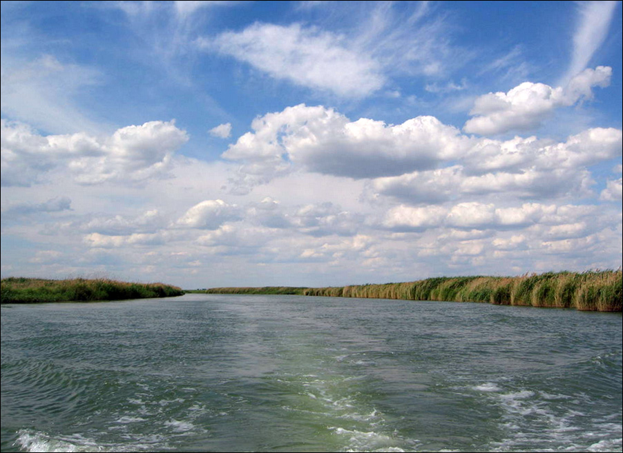 река Маныч