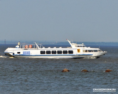 Стали известны подробности ЧП со скоростным судном, везшим пассажиров из Петербурга в Петергоф