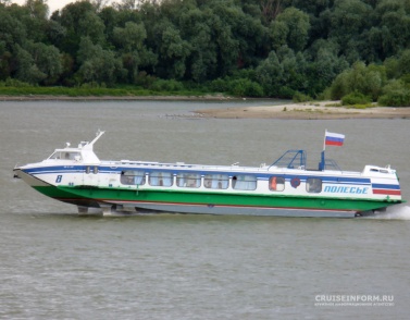 Суд взыскал с Омского речного порта 26,7 млн рублей по делу о крушении «Полесья-8»
