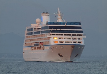 Oceania Cruises подтвердила, что из-за пожара на борту круизного лайнера Insignia погибло три человека