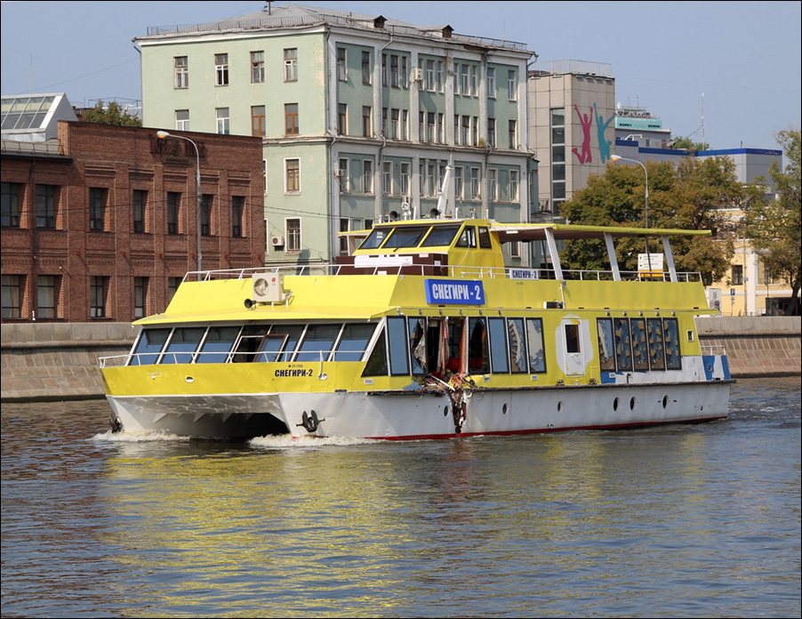 Названы причины столкновения на реке Москве двух прогулочных судов «Снегири-2» и «Ривер Палас»